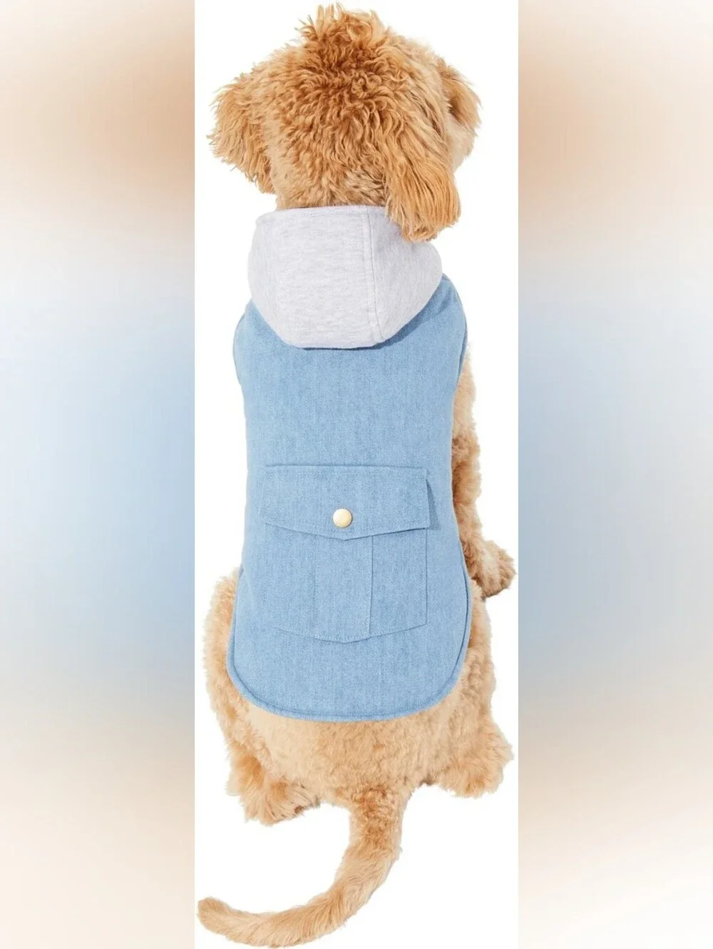 Frisco Dog Denim-Style Hooded Coat in Blue XL